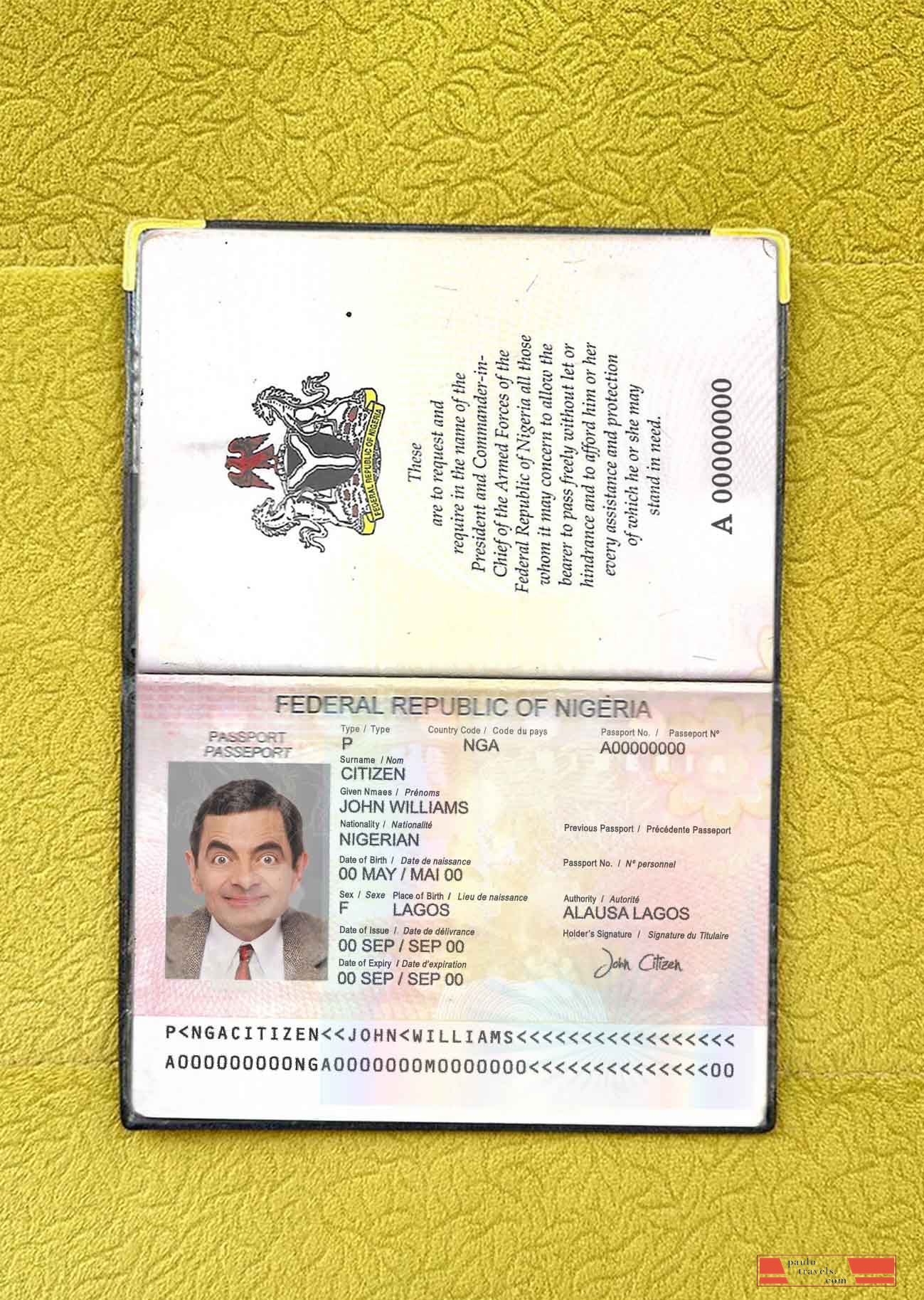 Nigeria passport (2007 2019) photo look PSD template